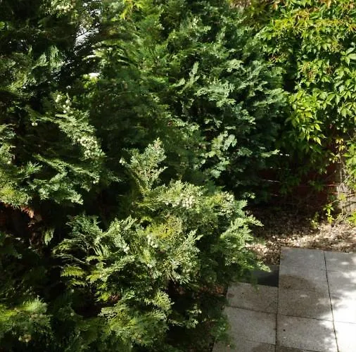 Nowa Oliwa * Gdańsk